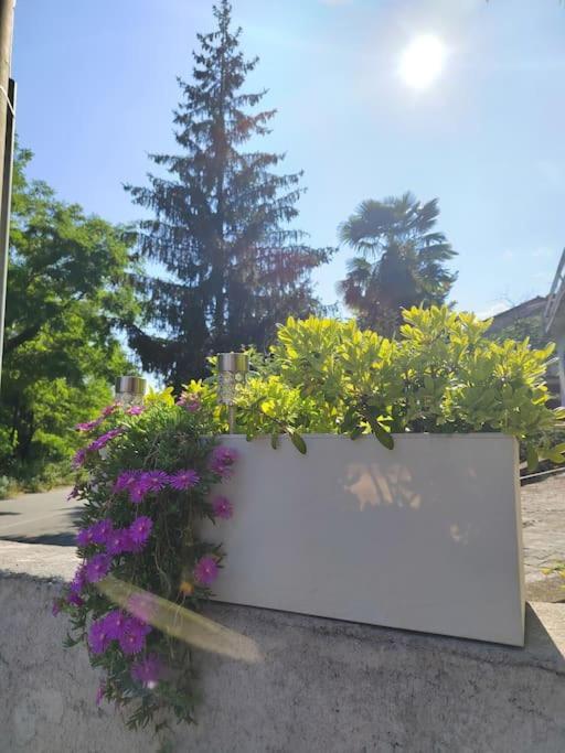 Studio Apartman Tadic Matulji Exterior photo